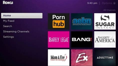 The 7 Best Premium Porn Roku Channels (2024)